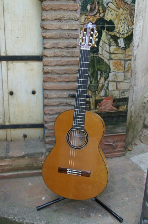 guitarrasespeciales14.jpg