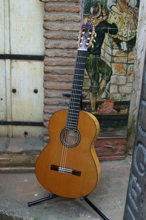 guitarrasespeciales17.jpg