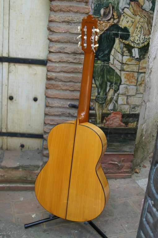 guitarrasespeciales18.jpg